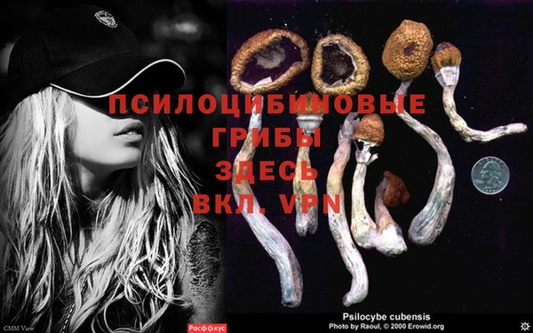 амф Аркадак
