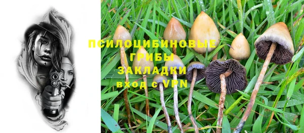 амф Аркадак