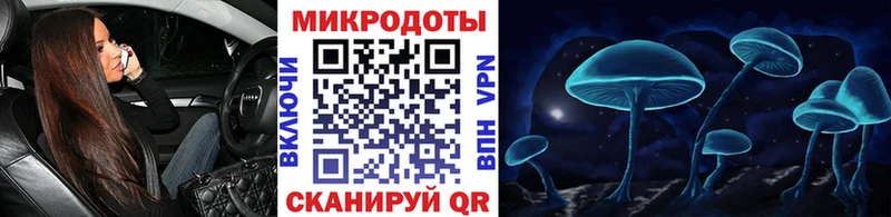 где продают   Сибай  Псилоцибиновые грибы Psilocybe 
