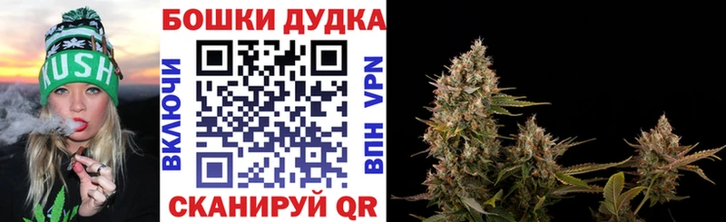 Канабис планчик Сибай